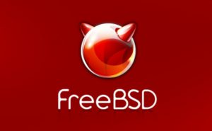FreeBSD удаленное обновление ядра и мира