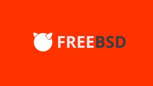 freebsd инструкция по работе с портами.