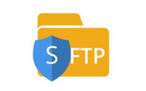 FreeBSD sftp и ftp