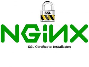 nginx ssl сертификат от nic