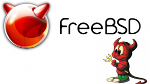FreeBSD откатить версию программы