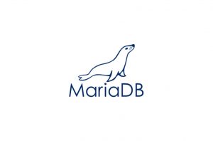 MariaDB phpmyadmin root