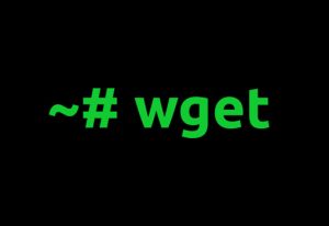 wget примеры