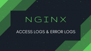 nginx разделение логов