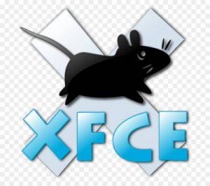 xfce4 скрываем разделы на рабочем столе